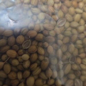 coriander | Sortex clean